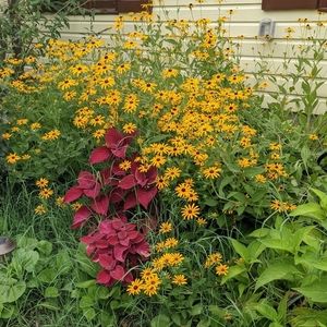 Meet your Posher, Sherry